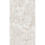 VENISTONE RIGATO BEIGE