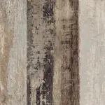 Colorart Bone