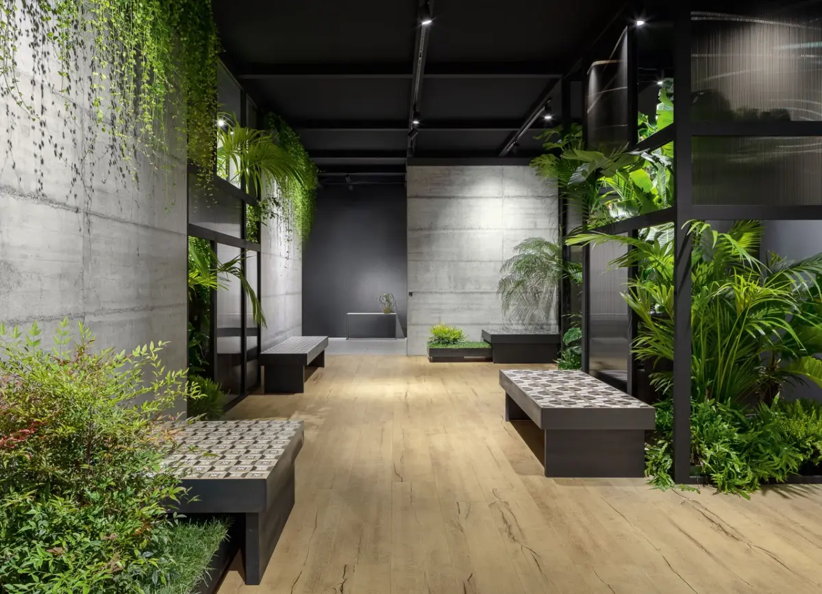 TIMEWOOD NATURAL - Image 3