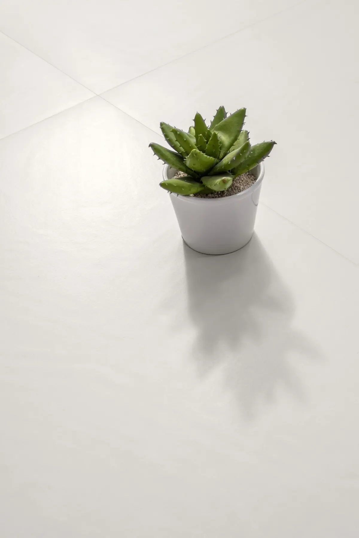 Insideart White Nat — Նկար 3