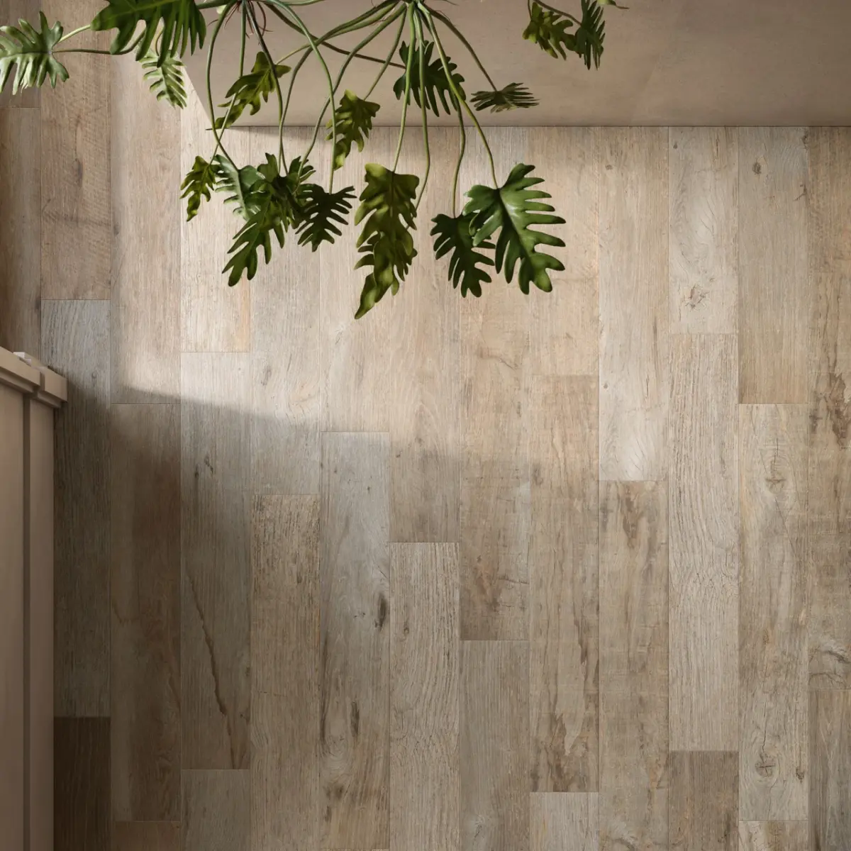 Yorkwood Walnut - Image 2