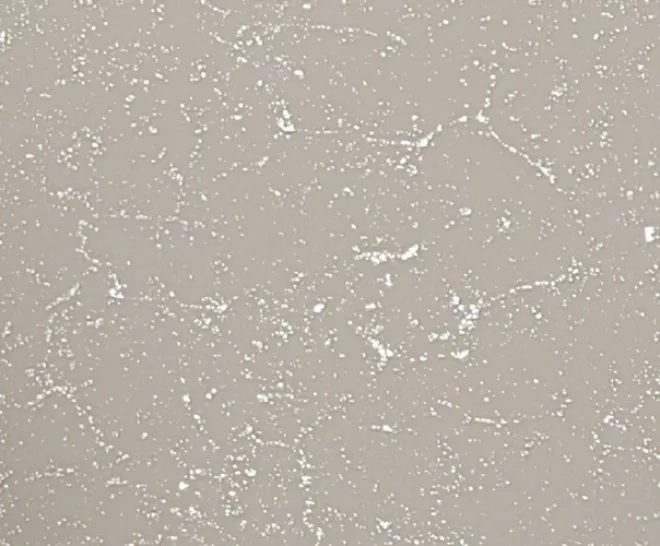 mirror-aged-polished-745-rect_big Mirror Aged Polished — Նկար 1