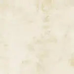 Mood Ivory