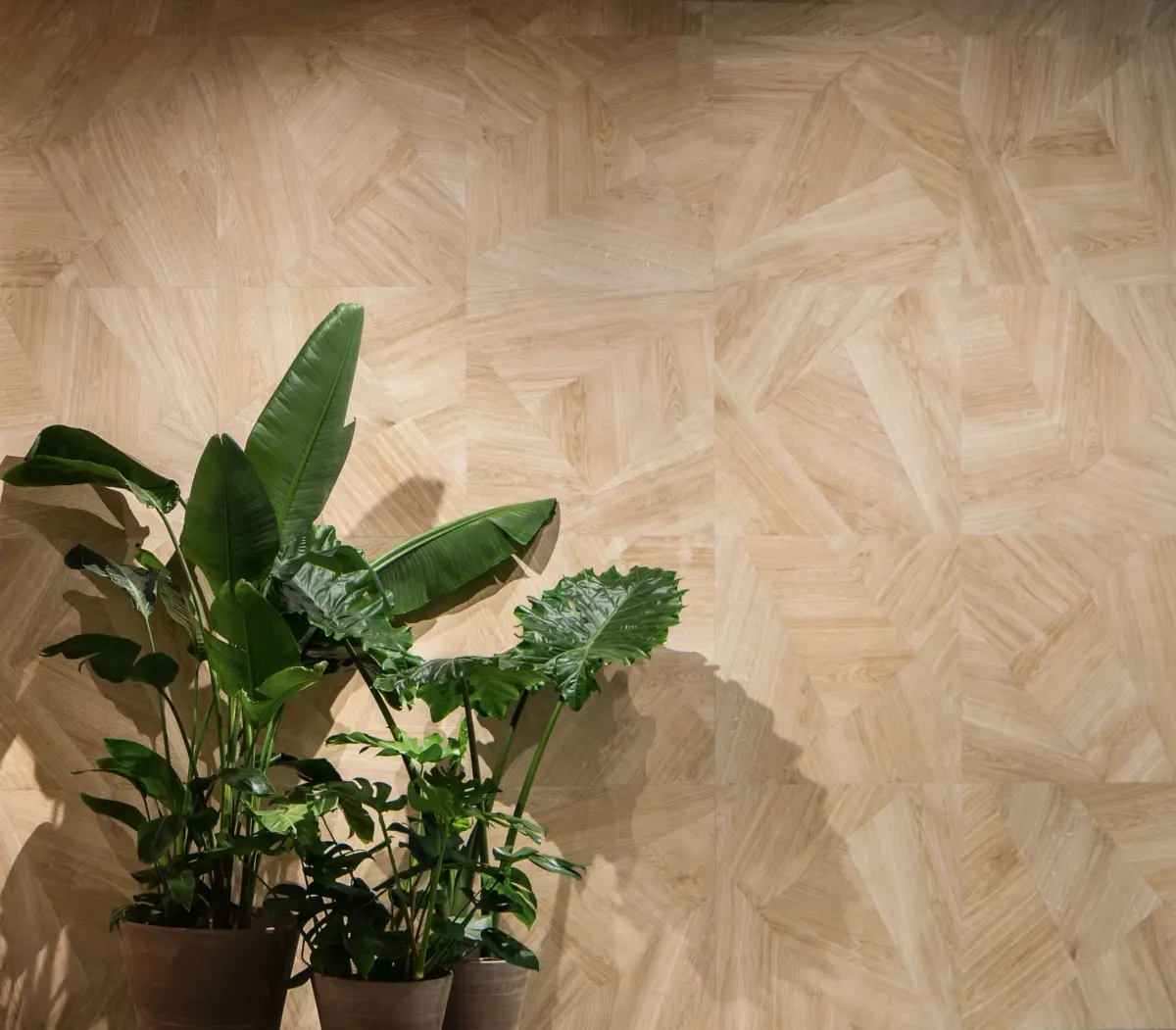 SET Metrowood Natural - Image 3