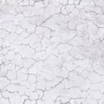 Zinc White Crack