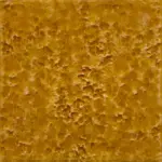 TEXTURA GIALLO