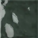 FLUID FICUS