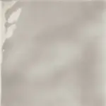 FLUID SENECIO
