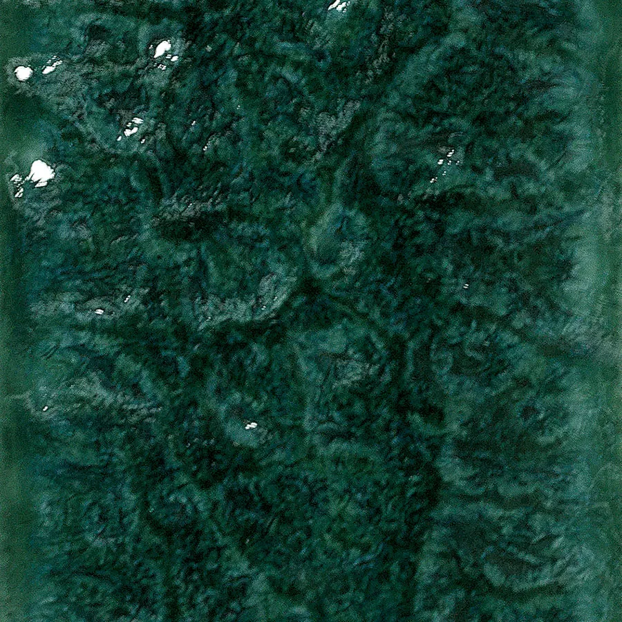 micronesia-verde_col MICRONESIA VERDE - Image 1