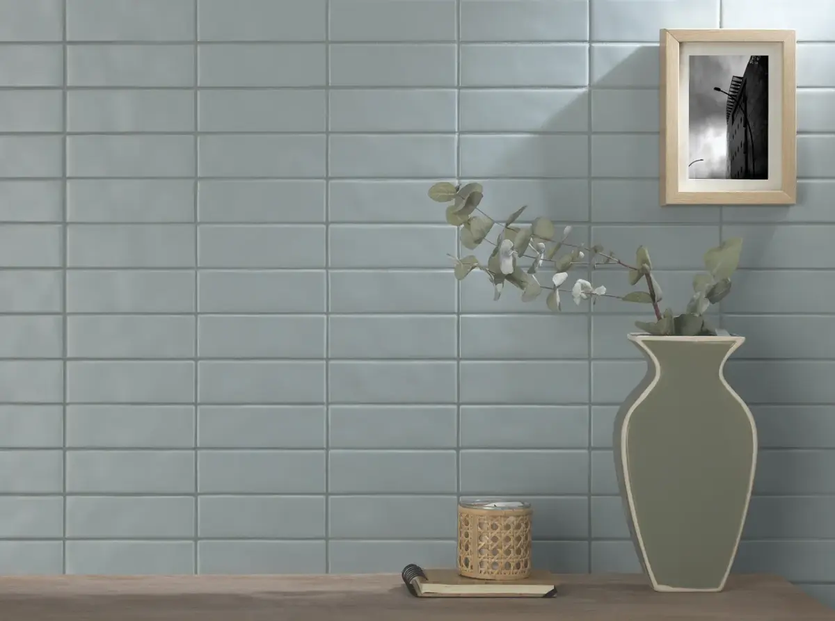 SHIBUSA MENTA - Image 2