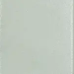 SHIBUSA VERDINO