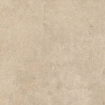 Elysian EY09 Gold Catalan